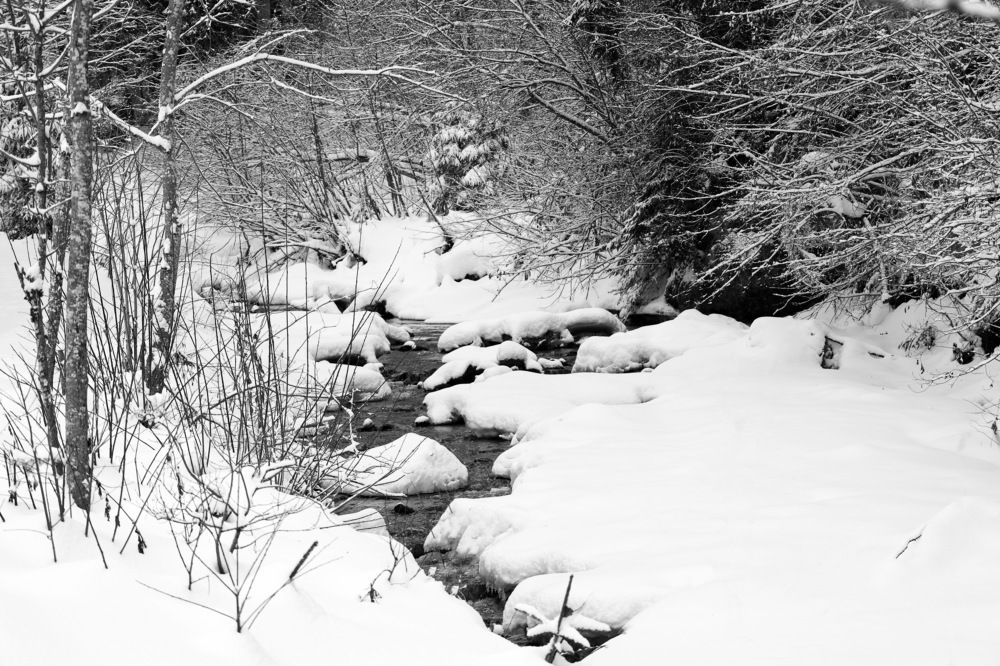 Photograph by Tatiana Serova