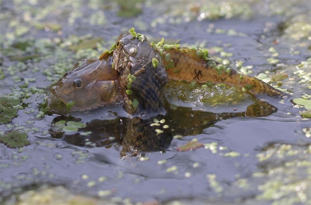 Photograph by Nilesh Tandel