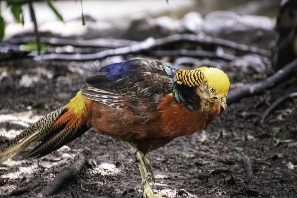 Photograph by Eduardo Vega