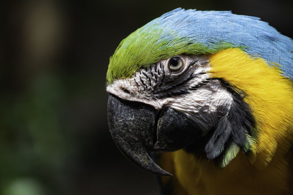 Photograph by Eduardo Vega