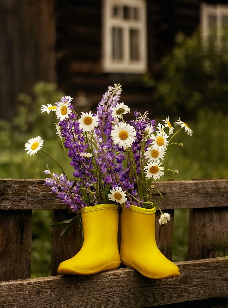 Photograph by Катерина Дементьева