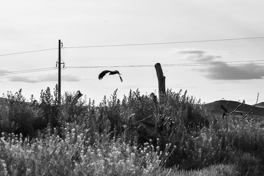 Photograph by Ольга Пономарева