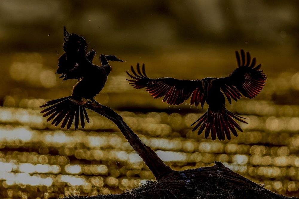 Photograph by Nilesh Tandel