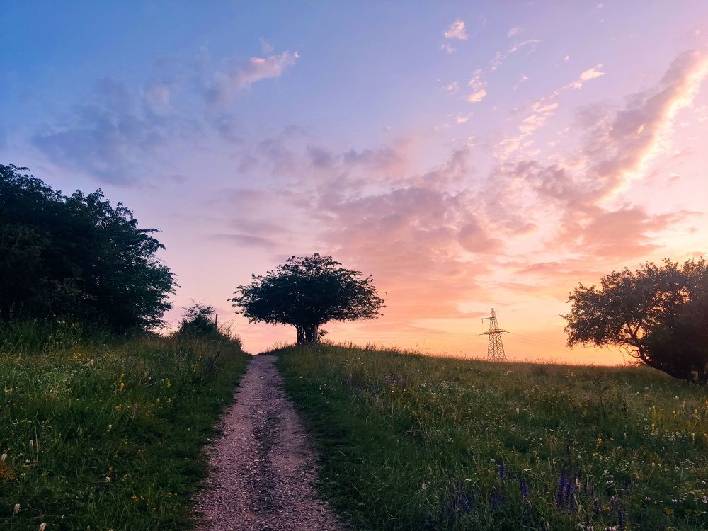 Фотография автора Евгений Петросян