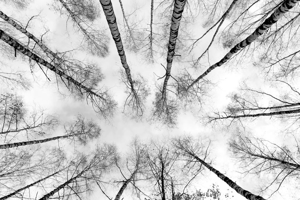 Фотография автора Елена Колосова