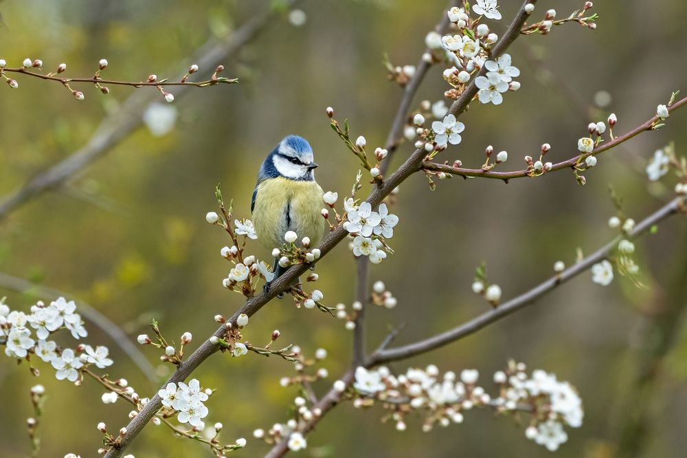 Photograph by Viktor Makarov