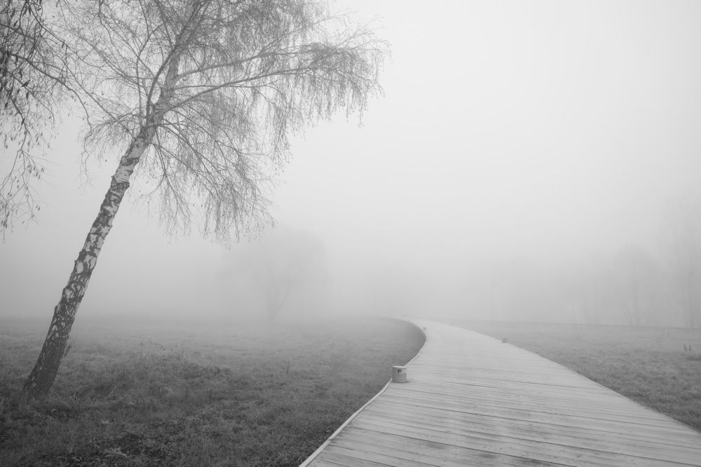 Фотография автора Елена Колосова