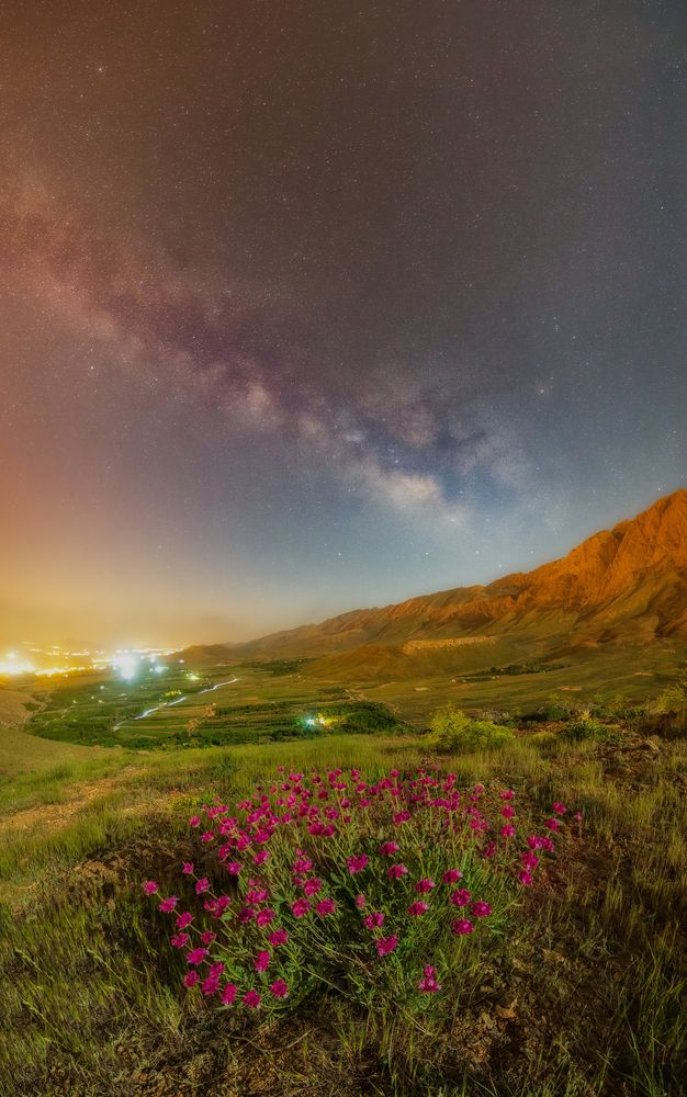 Photograph by Hamid Espanani