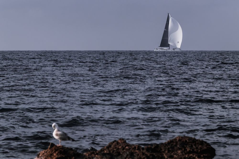 Photograph by Никита Волокитин