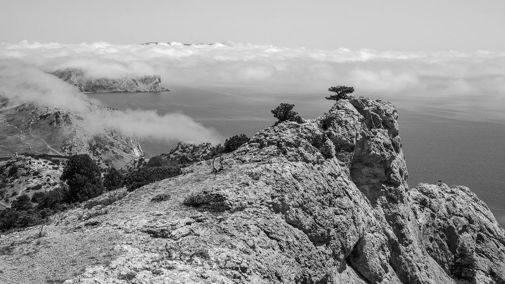 Photograph by Екатерина Крючкова