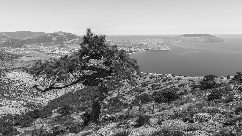 Photograph by Екатерина Крючкова