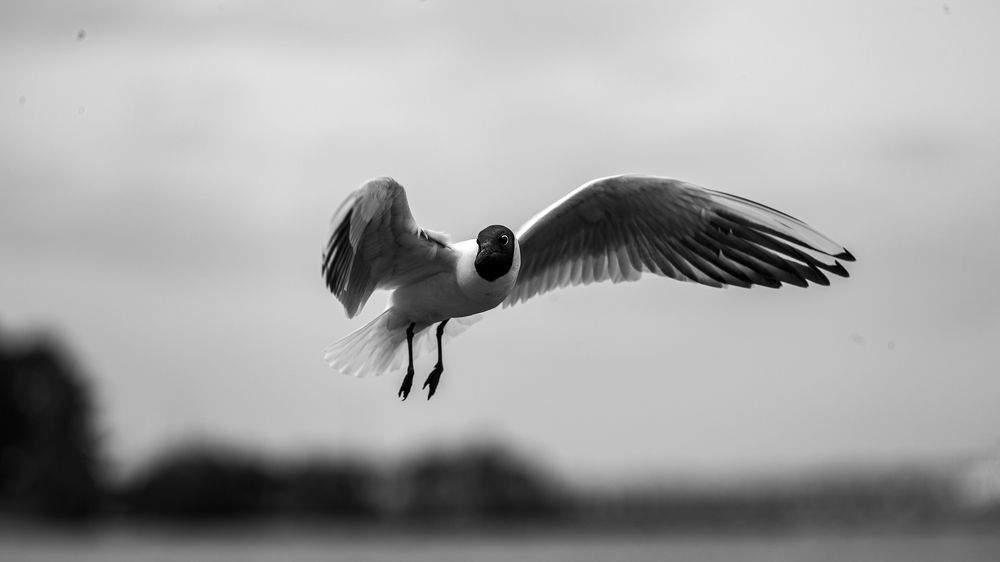 Фотография автора павел ермаков