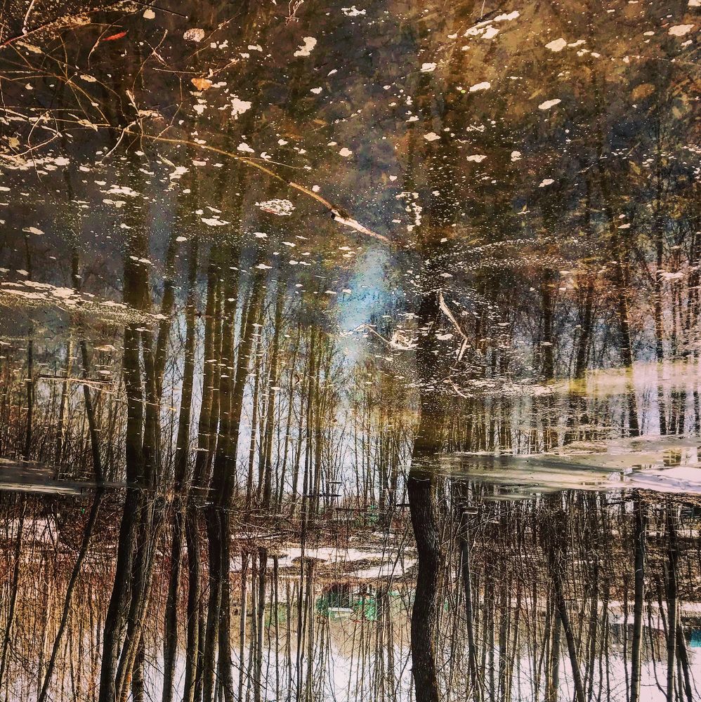 Дали озерные