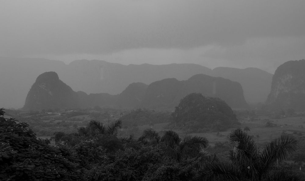 Photograph by Danilo Suárez Ricardo