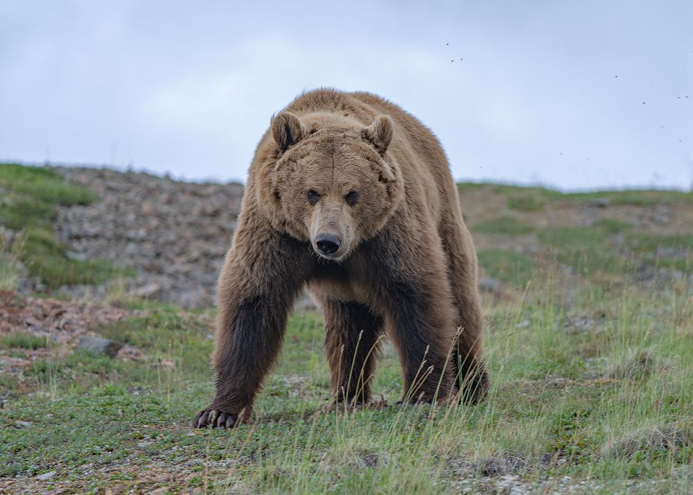 Photograph by Юрий Харченко