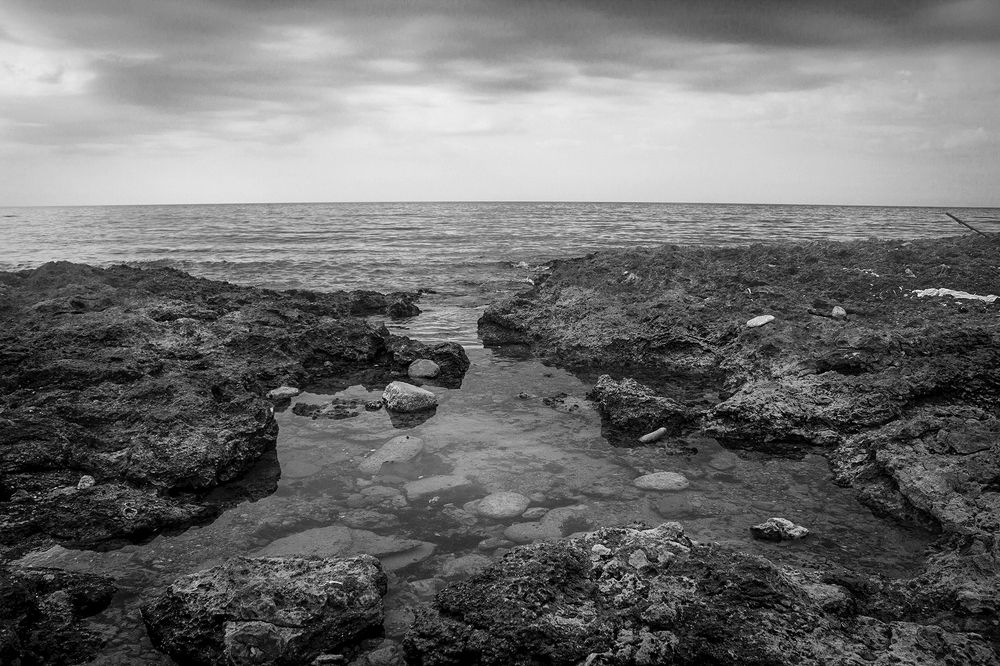 Photograph by Danilo Suárez Ricardo