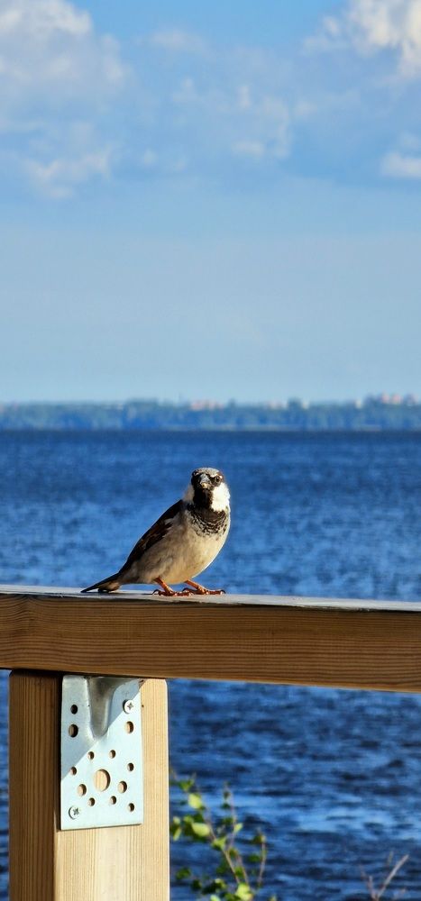 Photograph by Алёна Губинская