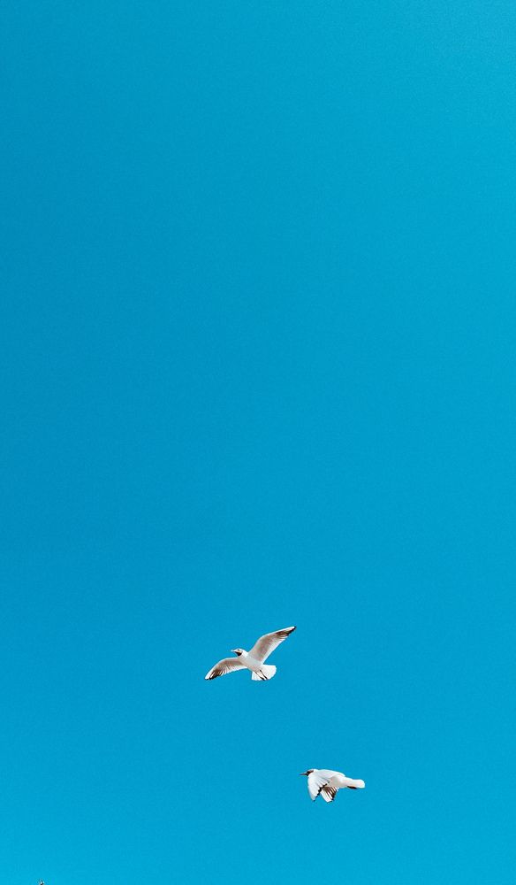 Photograph by Алёна Губинская