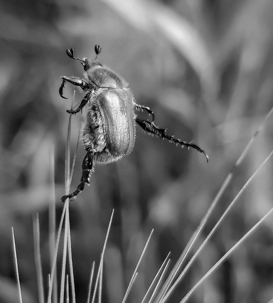 Photograph by Константин Бокарев