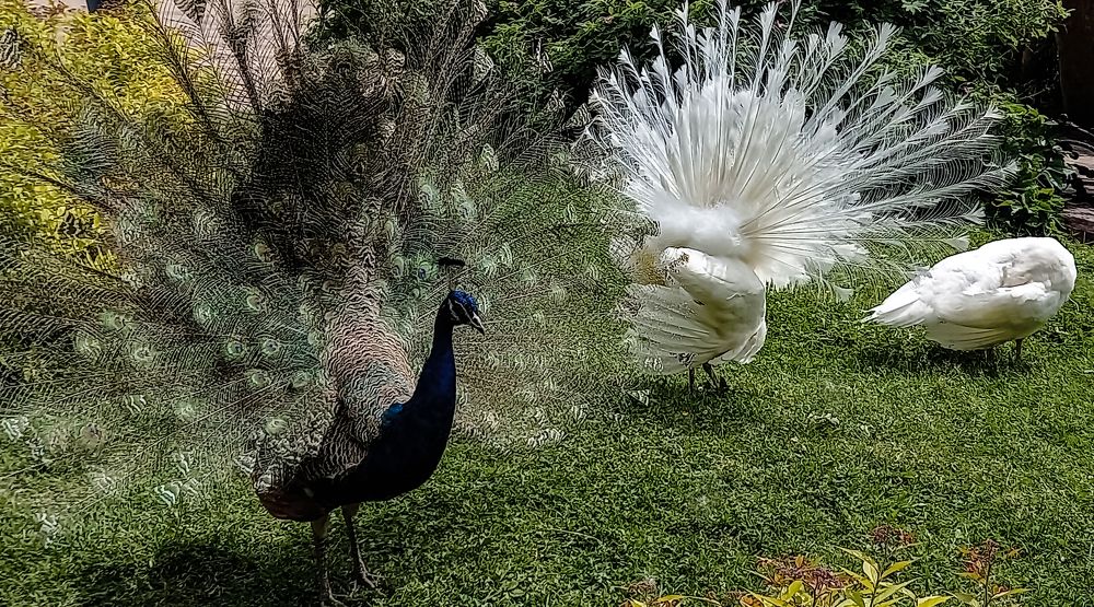 Photograph by Ирина Архипова