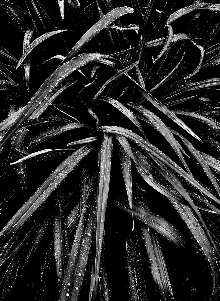 Photograph by Людмила М