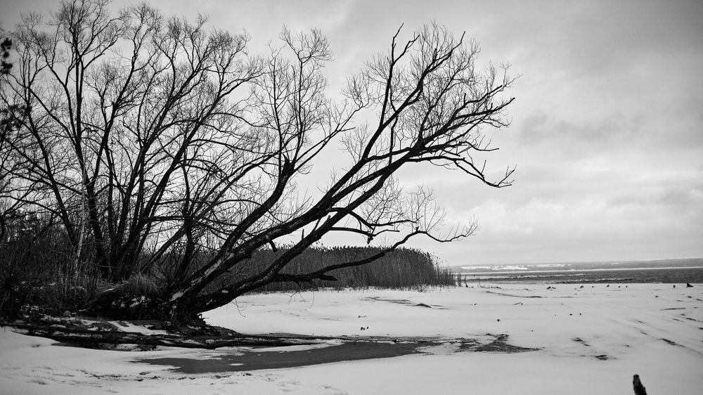 Photograph by Mitya Proshkin