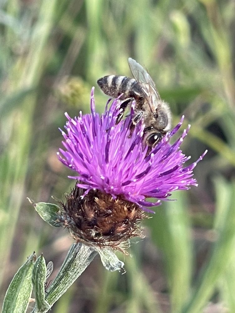 Photograph by Julia Reiner