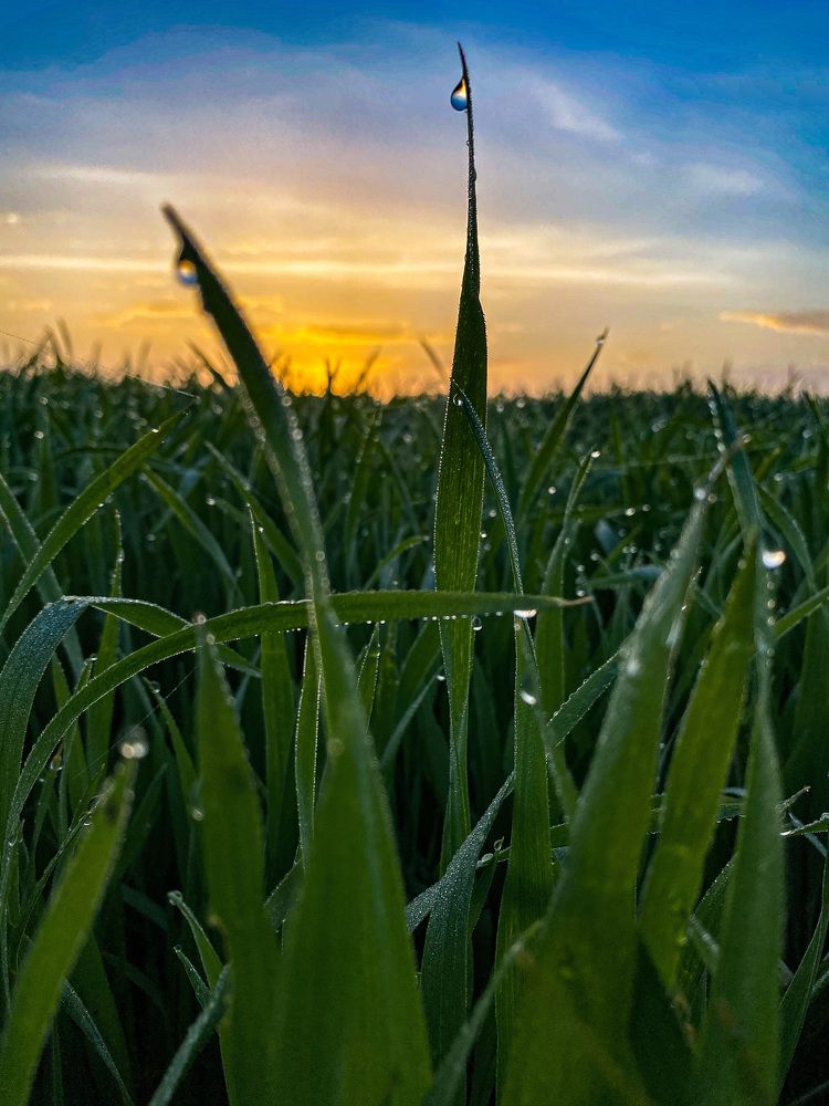 Photograph by Игорь Ляшко