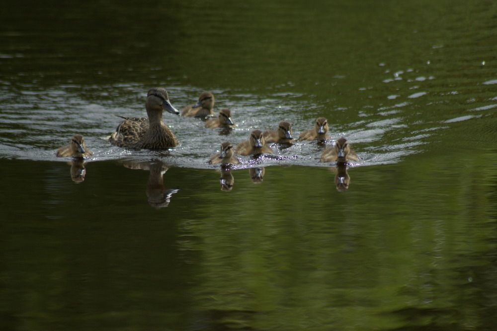 Photograph by Людмила Щепилова