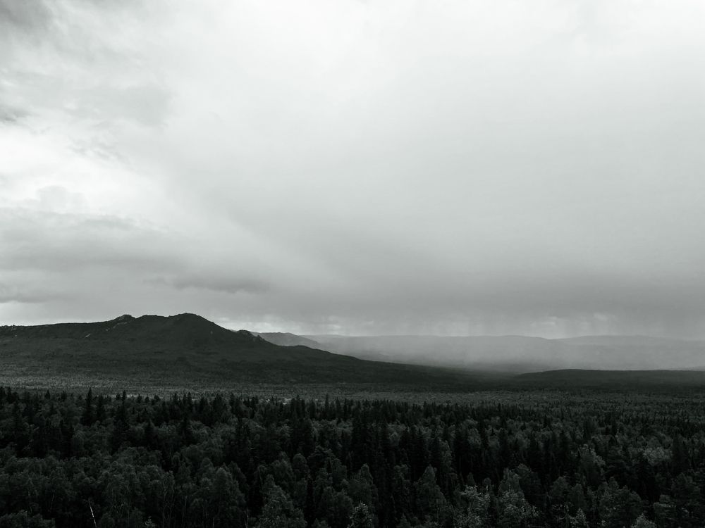 Photograph by Сергей