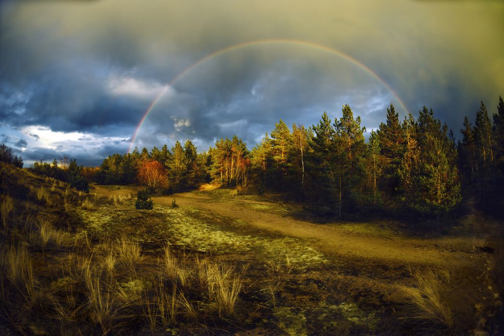 Фотография автора Ruslans Godlevskis