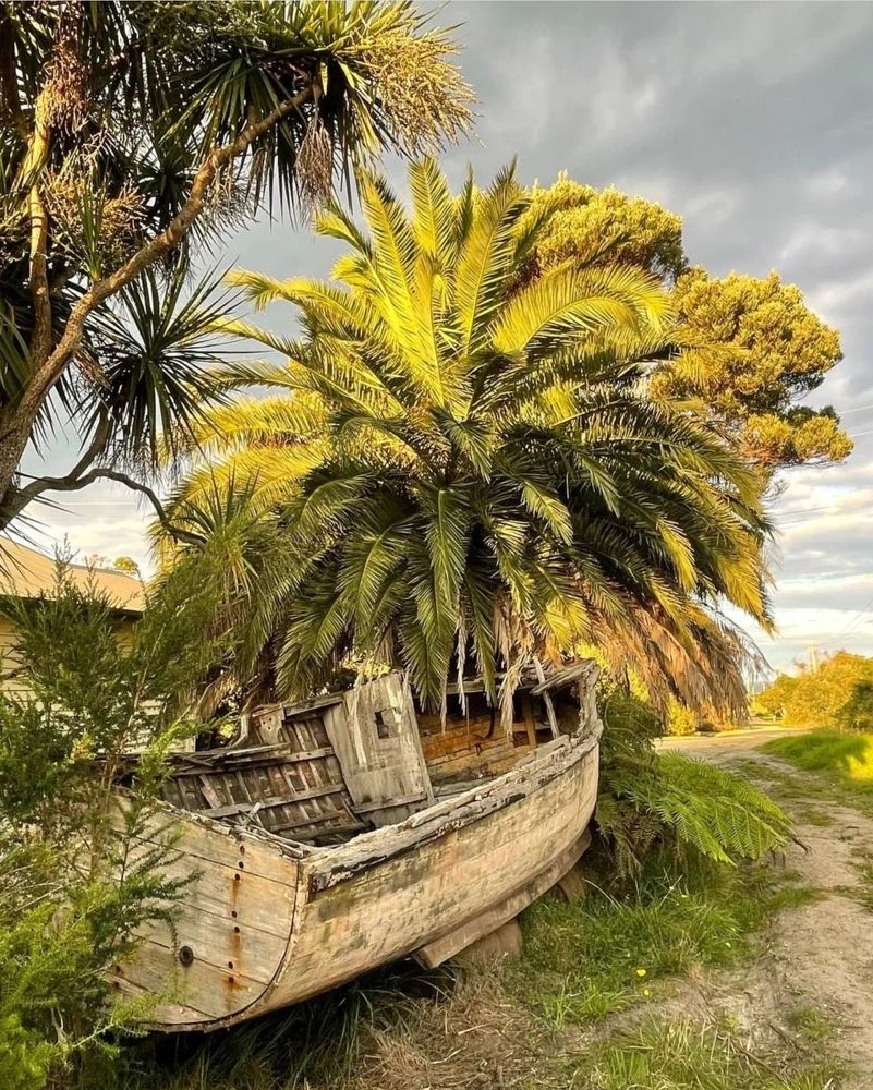 Photograph by Masoumeh Babashahi