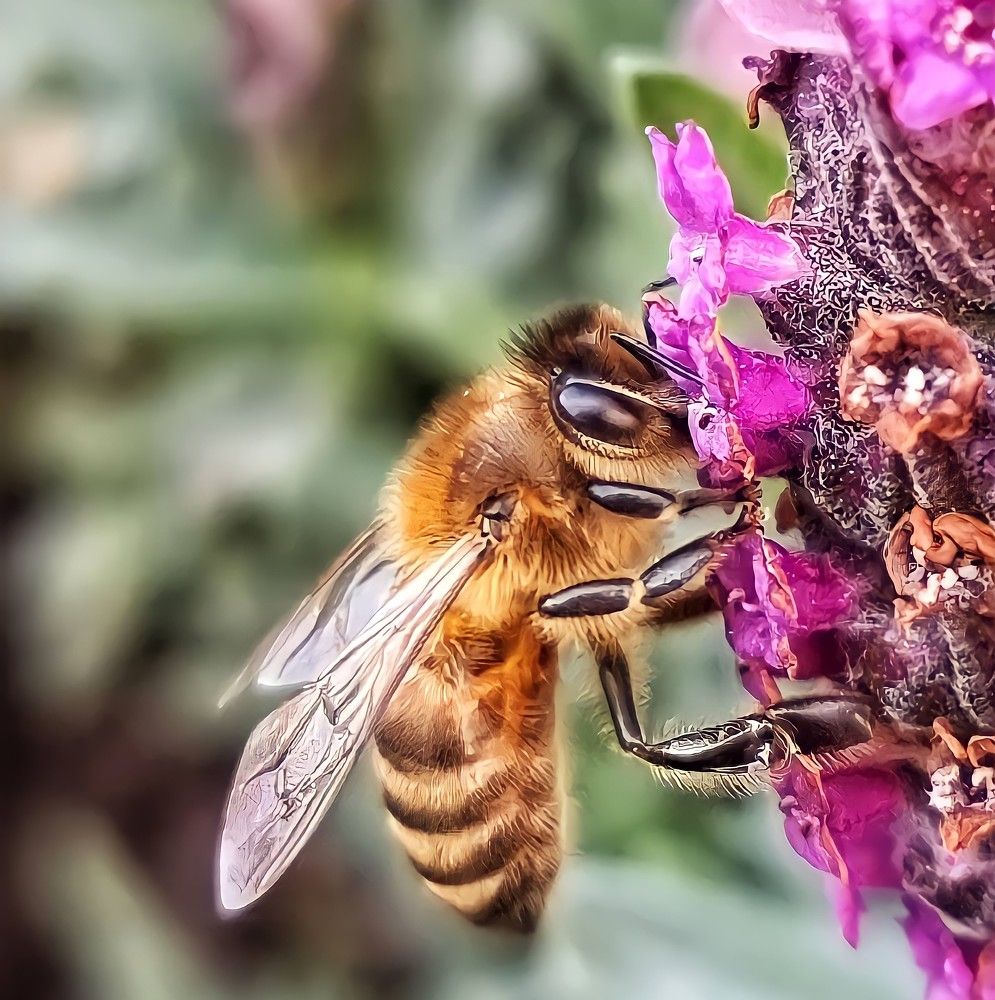 Photograph by Masoumeh Babashahi