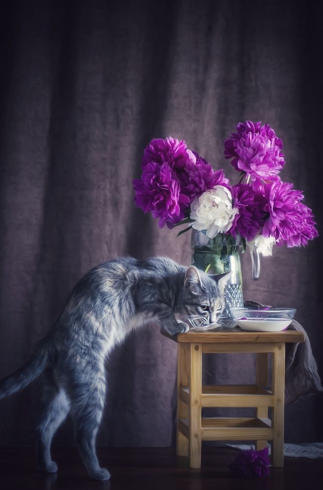 Photograph by Ольга Трыканова