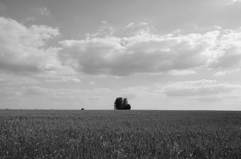 Photograph by Елена Сырцева