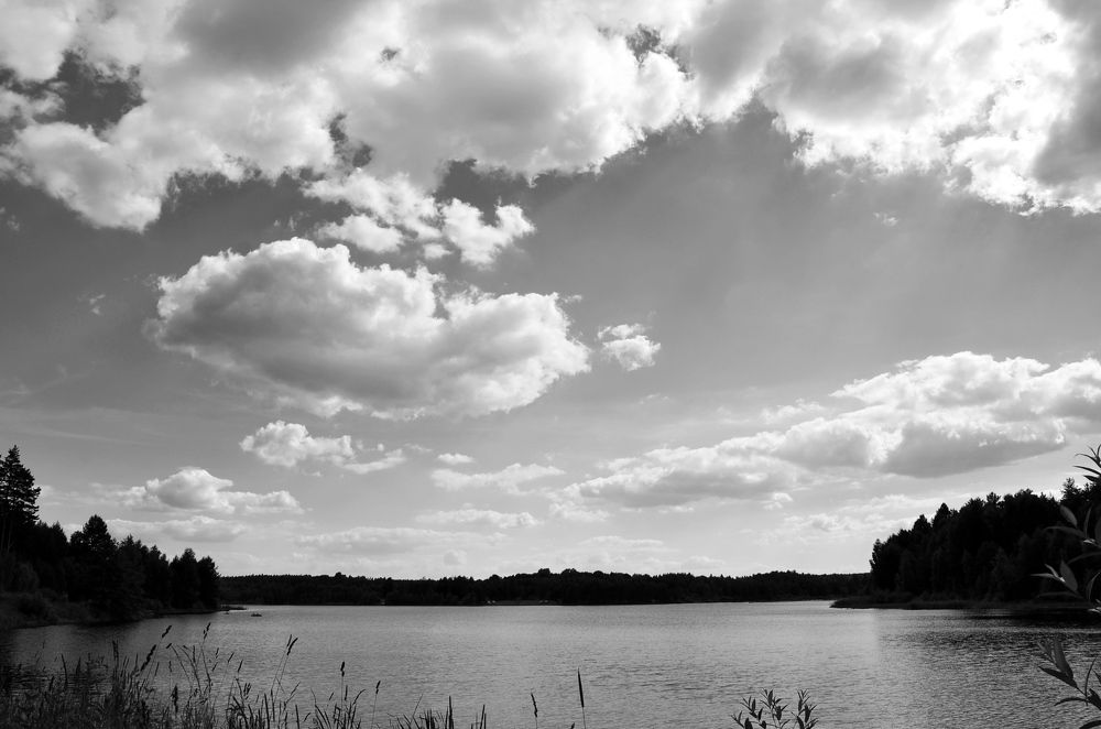 Photograph by Елена Сырцева