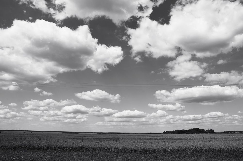 Photograph by Елена Сырцева