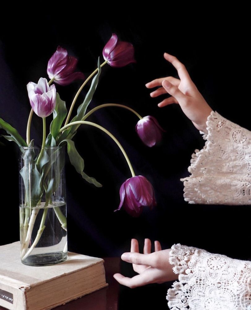 Photograph by Hamide Jafari