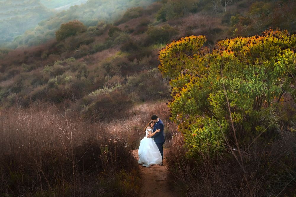 Photograph by Moe manouchehri