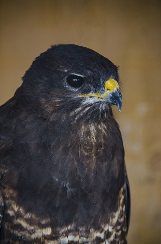 Photograph by Angelisa Gonzalez