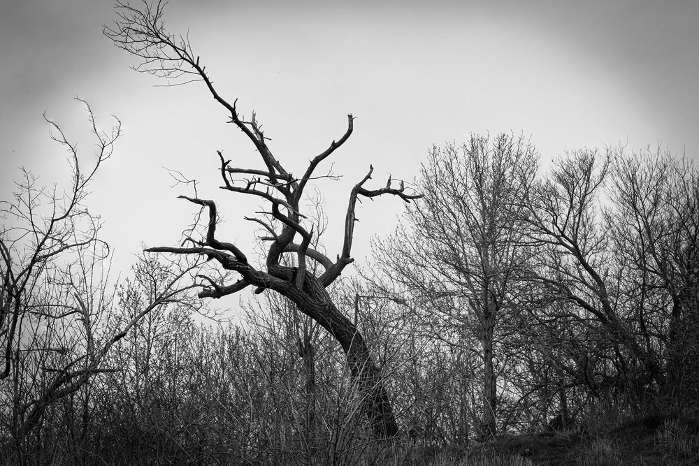 Photograph by Andre Beygijani