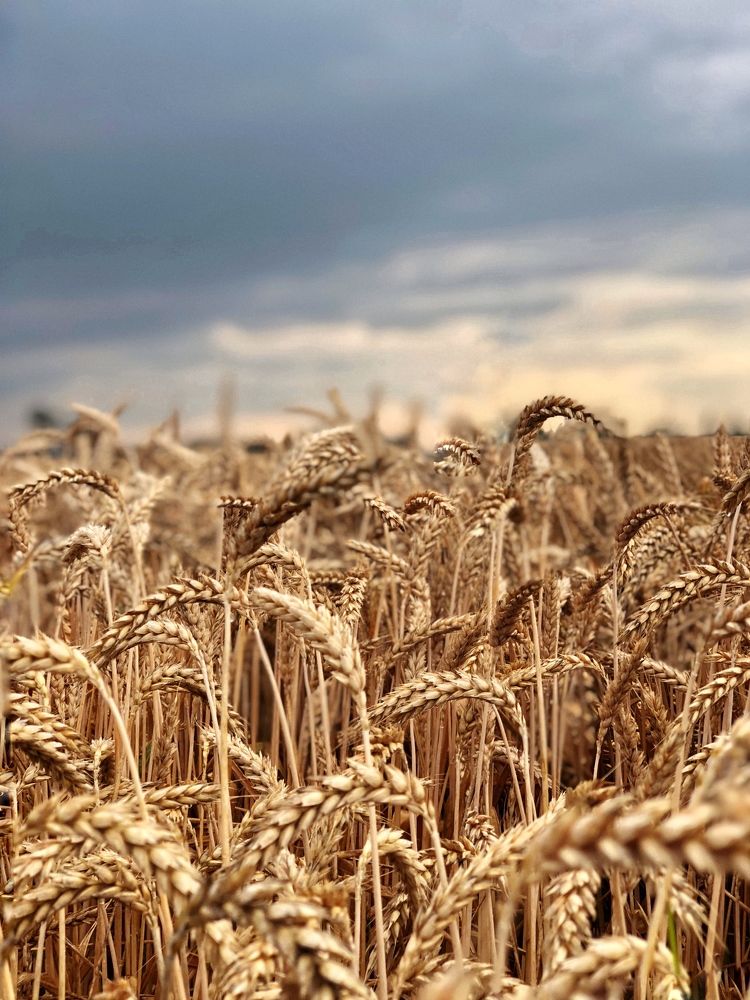 Photograph by Людмила Евстратова