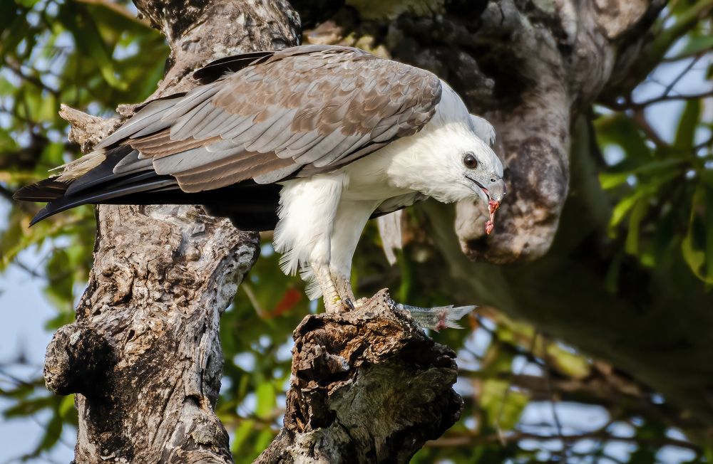 Photograph by M.I.M. Mahir