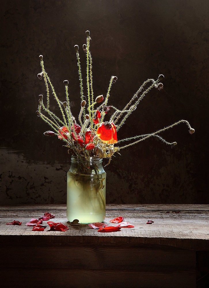 Photograph by Марина Володько