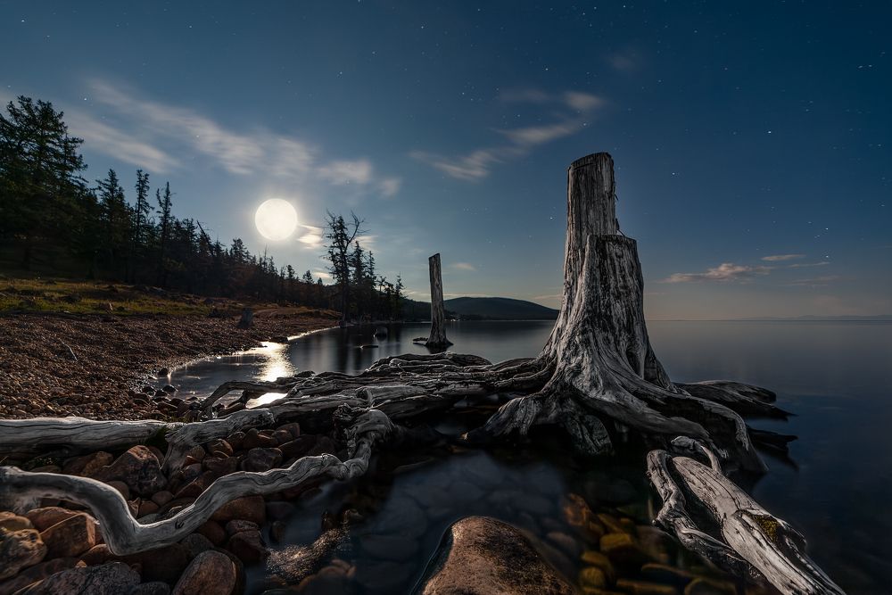 Photograph by Александр Ипполитов