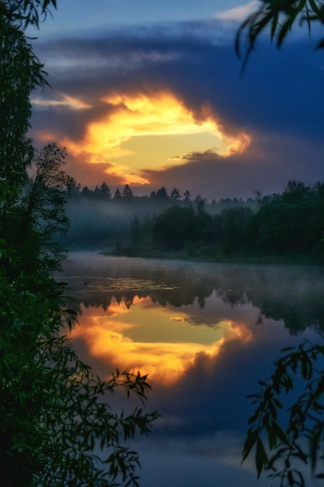 Photograph by Света Богоявленская