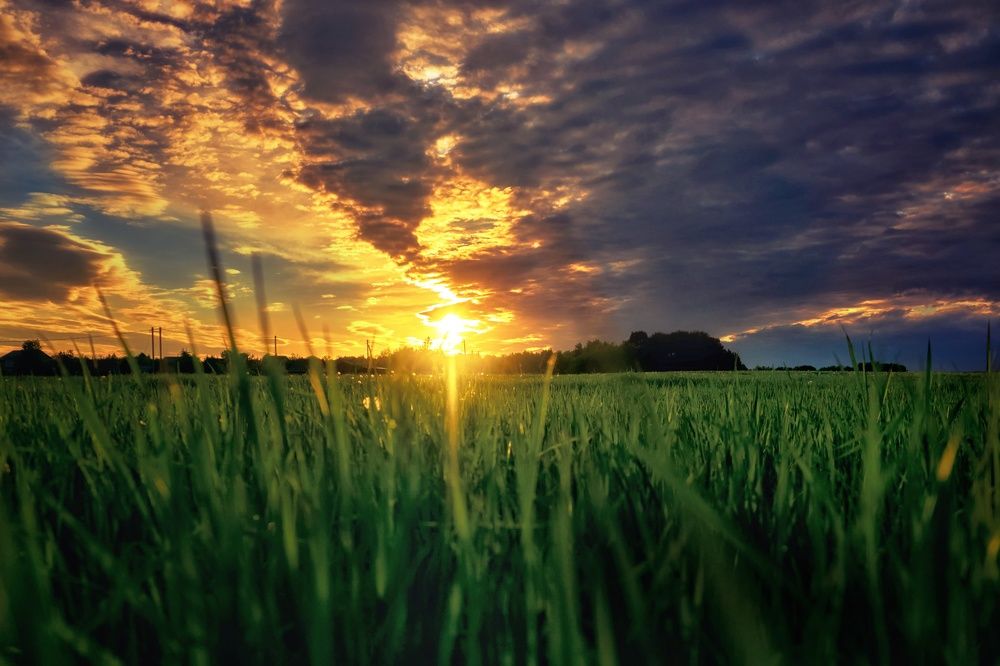 Photograph by Света Богоявленская