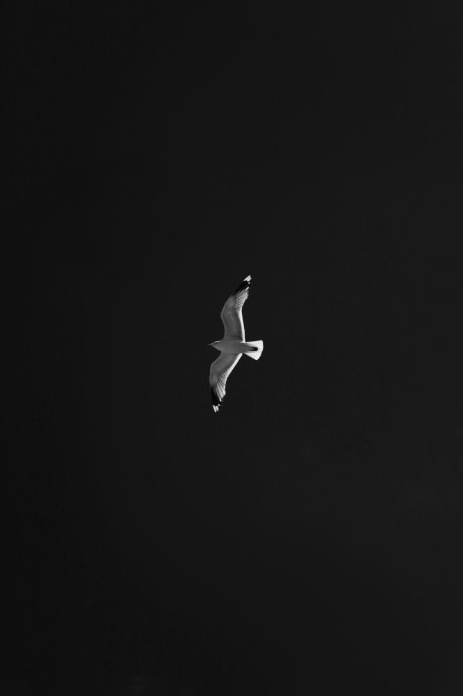 Photograph by Родион