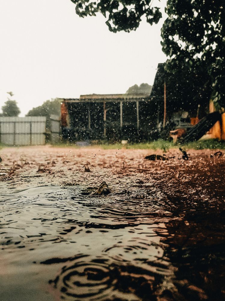 Photograph by Ashiq P F Mohammed