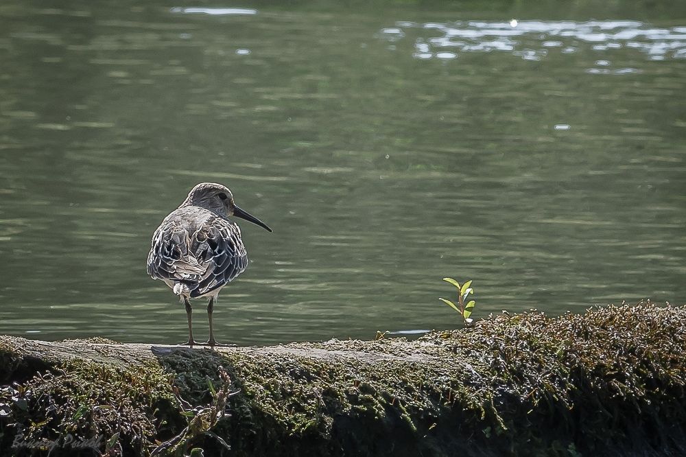 Photograph by Виктор Рыков